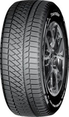 Winter Pro Tss2